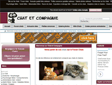 Tablet Screenshot of chat-et-cie.fr